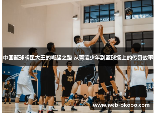 中国篮球明星大王的崛起之路 从青涩少年到篮球场上的传奇故事