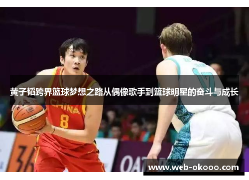 黄子韬跨界篮球梦想之路从偶像歌手到篮球明星的奋斗与成长